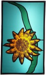 Starfish Panel2